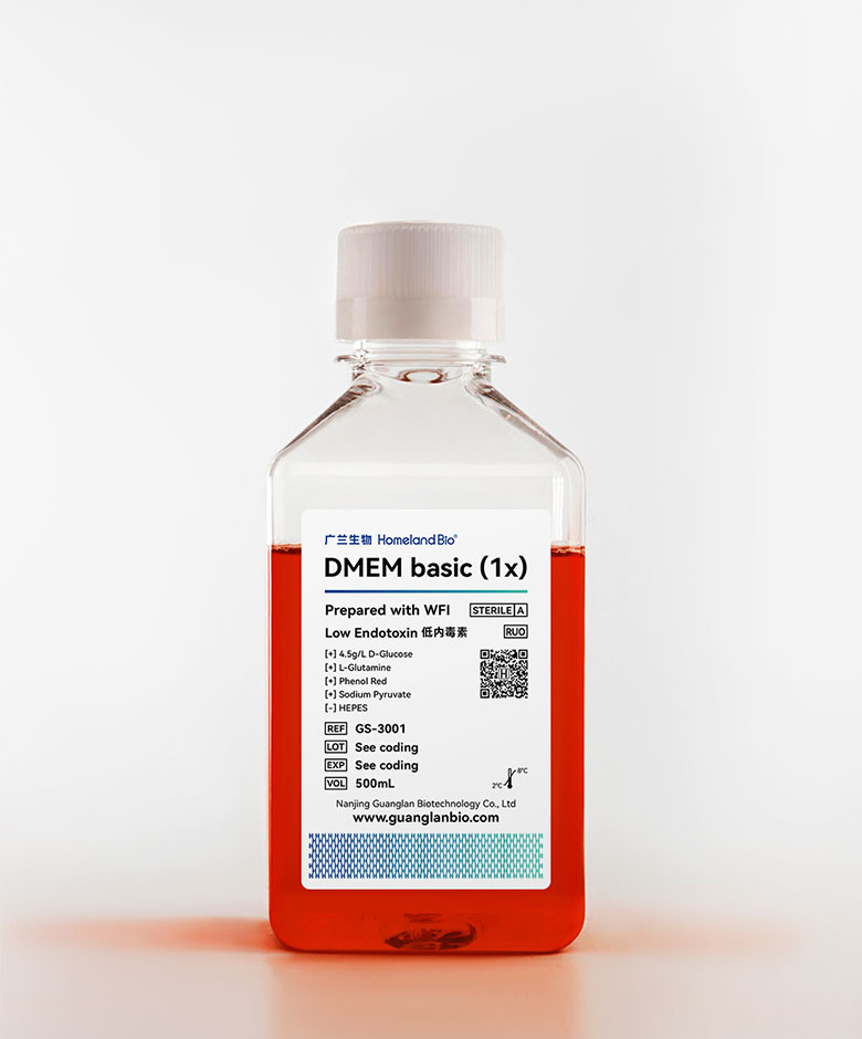 DMEM/High Glucose