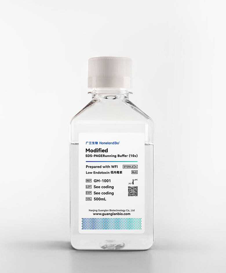 Modified SDS-PAGERunning Buffer(10x)